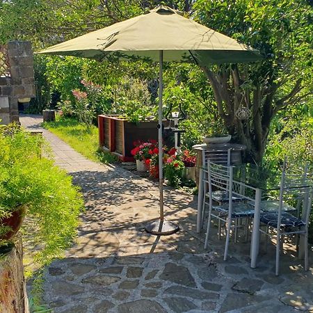 Apartments Bancic ポルトローシュ エクステリア 写真