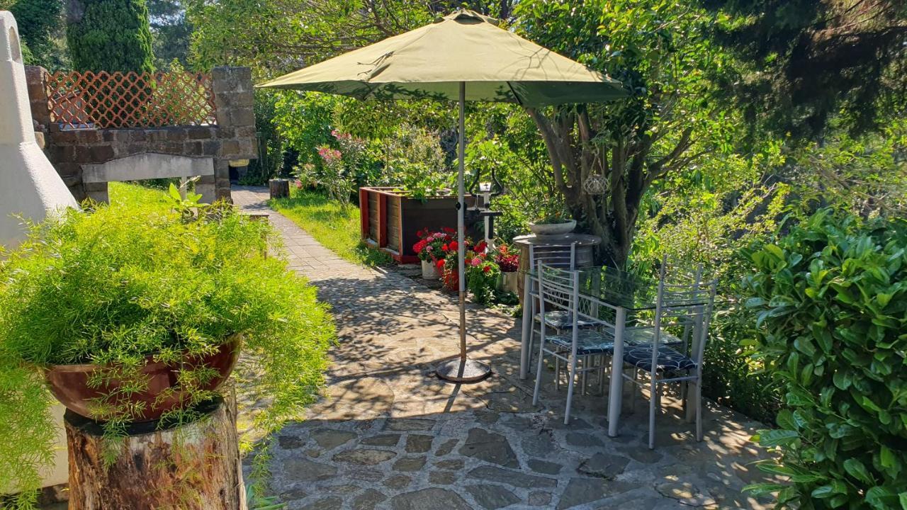 Apartments Bancic ポルトローシュ エクステリア 写真