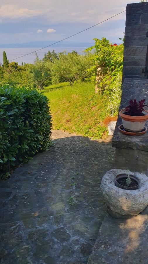 Apartments Bancic ポルトローシュ エクステリア 写真